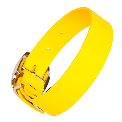 Yellow Biothane Waterproof Dog Collar UK