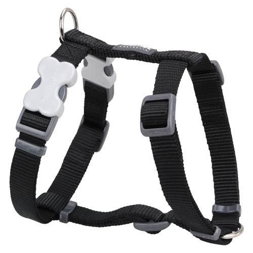 Red Dingo Black Dog Harness