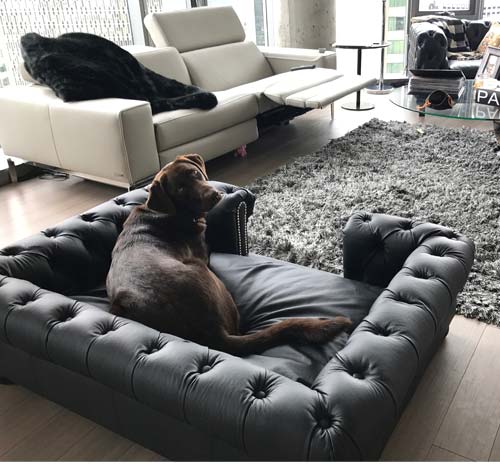 Balmoral Black Leather Dog Sofa