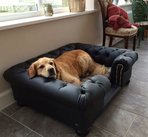 Balmoral Black Leather Dog Sofa