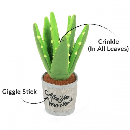 Blooming Buddies Aloe Vera Plant Dog Toy