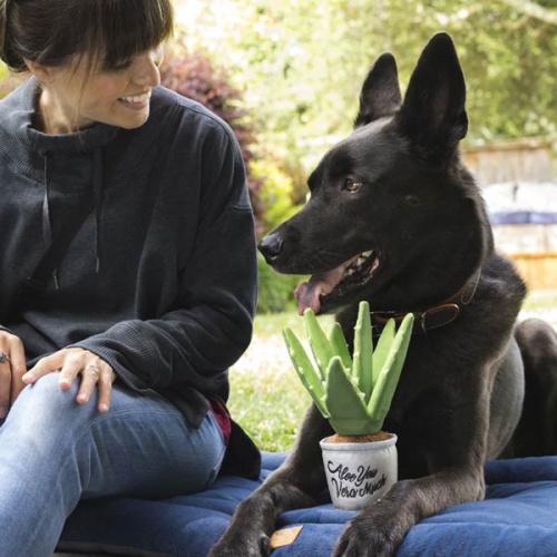 Blooming Buddies Aloe Vera Plant Dog Toy