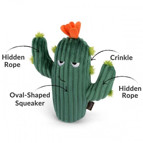 Blooming Buddies Cactus Dog Toy