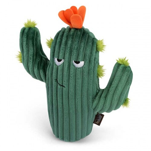 Blooming Buddies Cactus Dog Toy