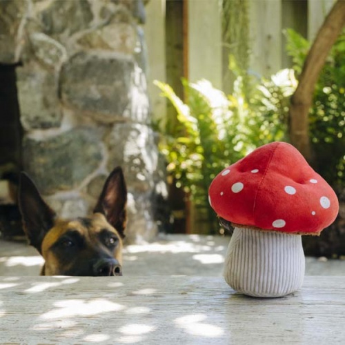 Blooming Buddies Mushroom Dog Toy
