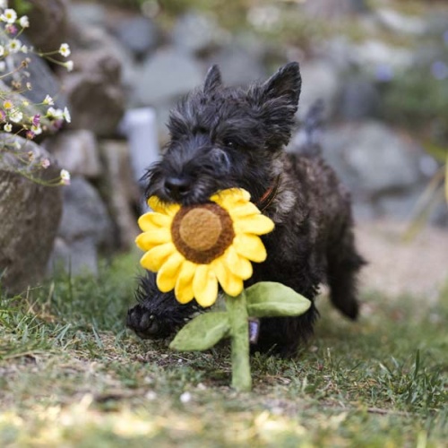 Blooming Buddies Sunflower Dog Toy