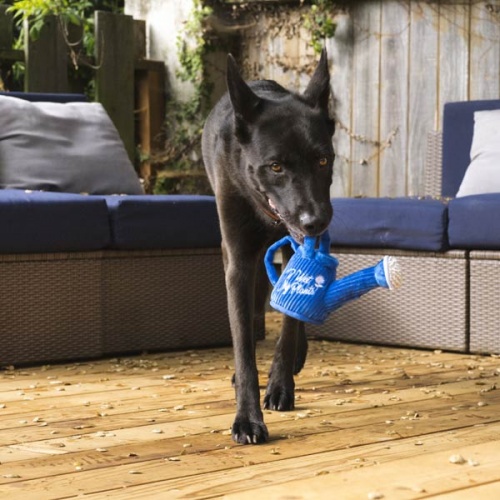 Blooming Buddies Watering Can Dog Toy