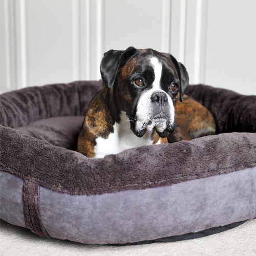 Bolster Donut Dog Bed Comfortable Affordable