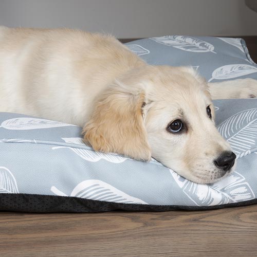 Botanical Dog Mattress Bed