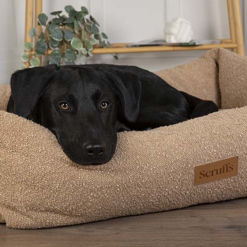 dog-beds-gifts-products-accessories-uk