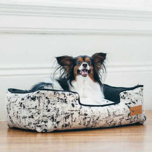 Celestial Night Sky Lounge Dog Bed