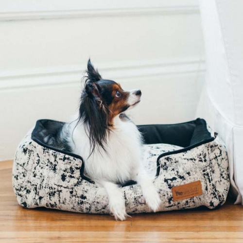 Celestial Night Sky Lounge Dog Bed