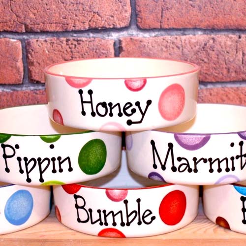 Personalised Dog Bowls - Dotty Straight