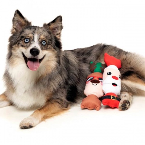 Christmas Cracker Dog Toys (2pk)