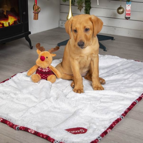 Dog Blanket & Reindeer Toy Gift Set
