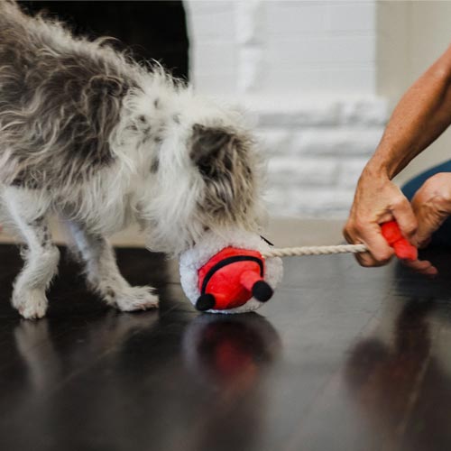 Christmas Dog Toy - Clumsy Claus