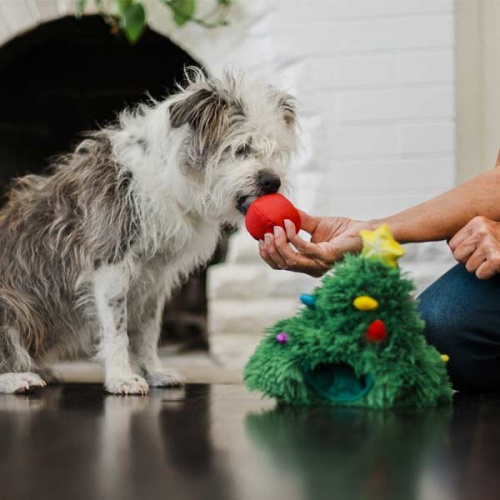 Christmas Dog Toy - Doglas Fur