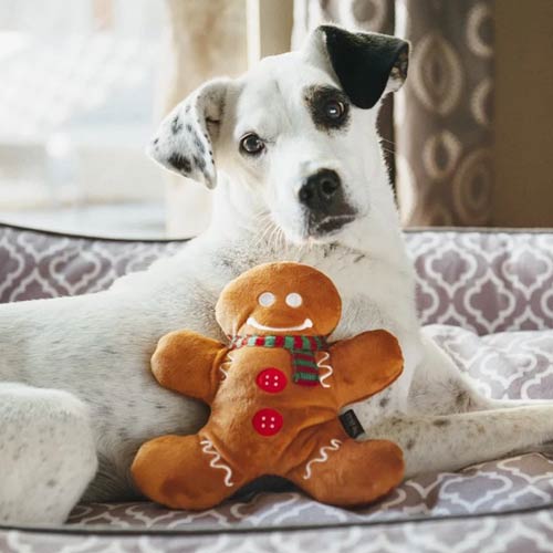 Christmas Dog Toy - Gingerbread Man