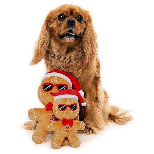 Christmas Mr Gingerbread Man