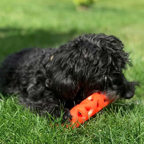 Chuckit Air Fetch Stick