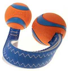 New - Chuckit Tug Dog Toys