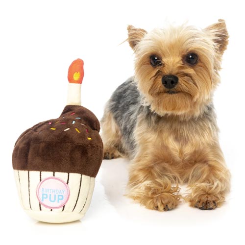 FuzzYard Birthday Cupcake Dog Toy
