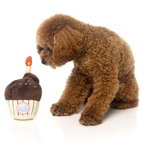 FuzzYard Birthday Cupcake Dog Toy