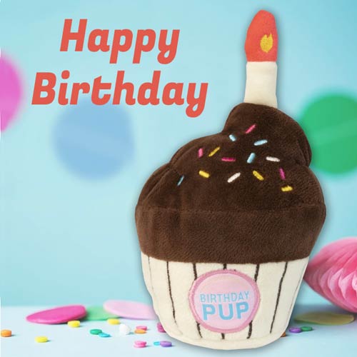 FuzzYard Birthday Cupcake Dog Toy