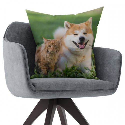 Custom Photo Cushion