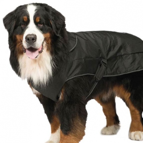 Danish Design 2-in-1 Ultimate Dog Coat