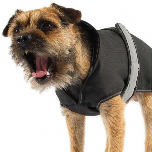 Danish Design 2-in-1 Four Seasons Dog Coat