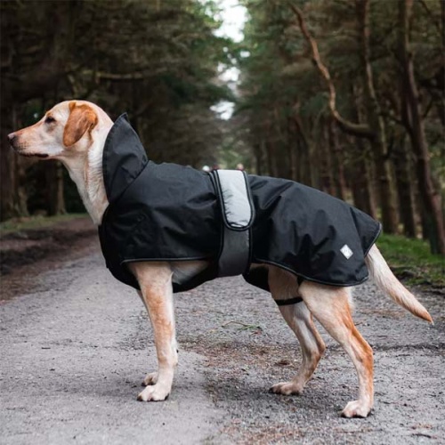 Danish Design 2-in-1 Four Seasons Dog Coat
