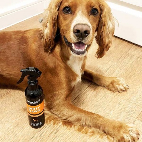 Dirty Dawg No Rinse Dog Shampoo Spray