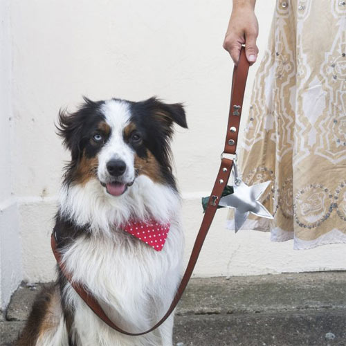 Dog Bandana Dotty