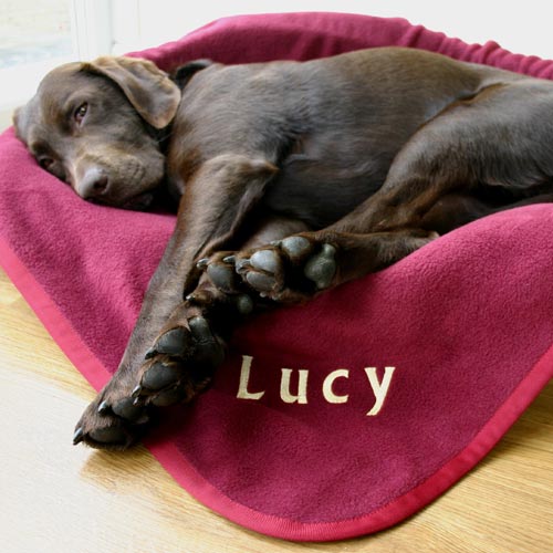 Cheap dog blankets uk Clearance