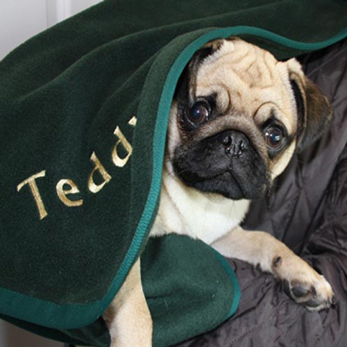 Personalised Dog Blanket