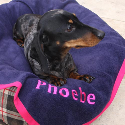 Personalised Dog Blankets Embroidered Name UK D for Dog