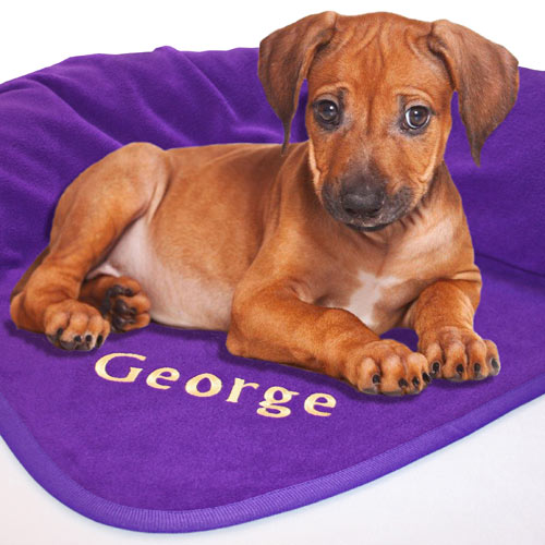 Personalised Dog Blankets Embroidered Name UK Made