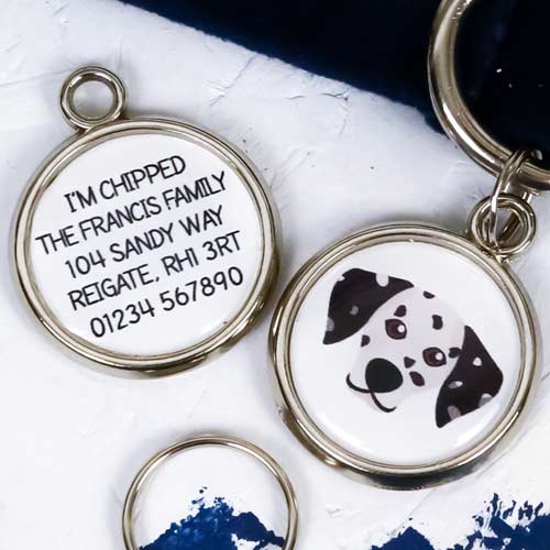 Dog Breed Pet Tag - Dalmatian