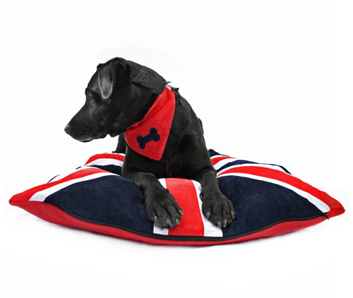 Doza Dog Cushion Union Jack