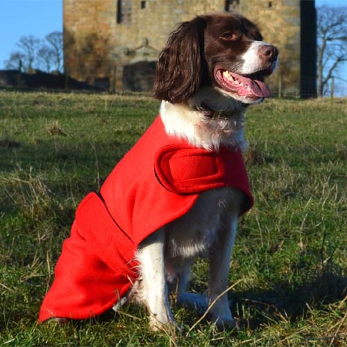 Freckles Dog Drying Coat - Original