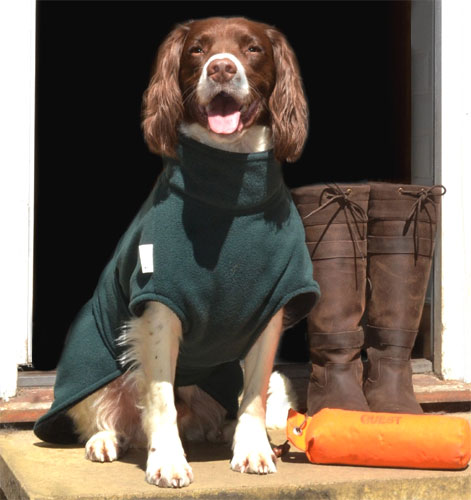 Freckles Dog Drying Coat - Ultimate