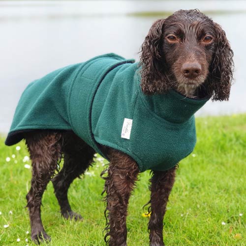 Freckles Dog Drying Coat - Ultimate