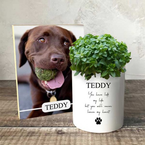 Dog Memorial Plant Pot & Photo Block