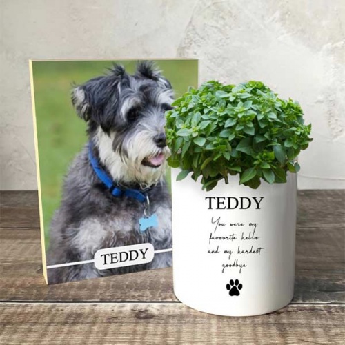 Dog Memorial Plant Pot & Photo Block