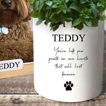 Dog Memorial Plant Pot & Photo Block