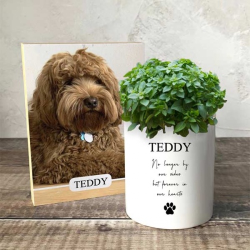 Dog Memorial Plant Pot & Photo Block