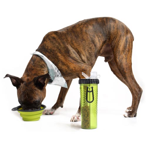 Snack-Duo Dog Water & Treat Bottle