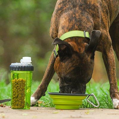 Snack-Duo Dog Water & Treat Bottle