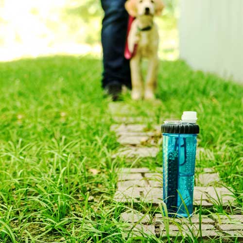 Snack-Duo Dog Water & Treat Bottle